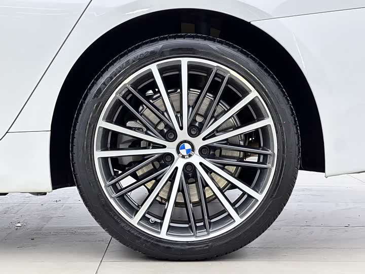 BMW 5-Series 2021 530 Li Leading M — фото 17