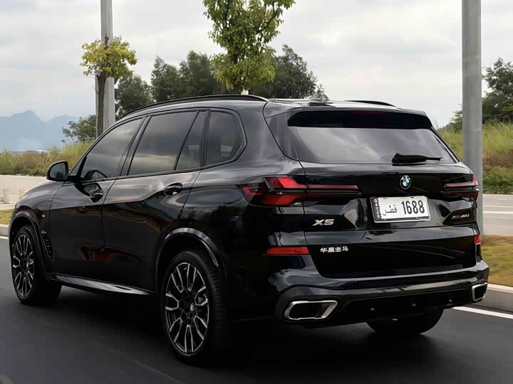 BMW X5 xDrive 30Li M спортпакет — фото 9