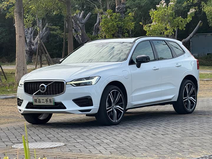 Volvo XC60 Hybrid 2020 T 8 E Hybrid — фото 1