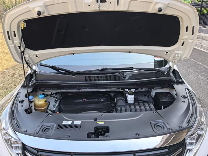 Trumpchi M8 2021 390 T — фото 11