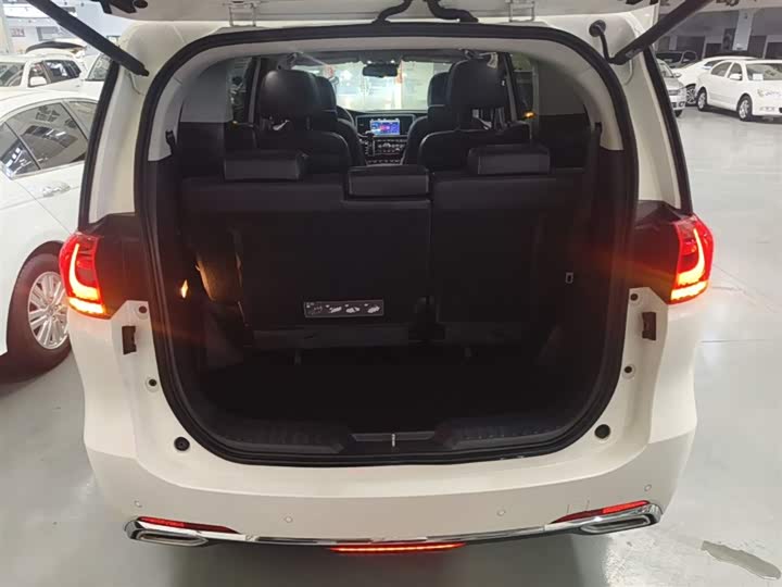 Trumpchi M8 2018 320 T — фото 19