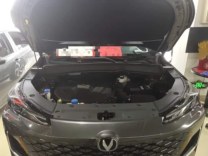 Changan CS55 PLUS 2024 1.5 T DCTPremium — фото 20