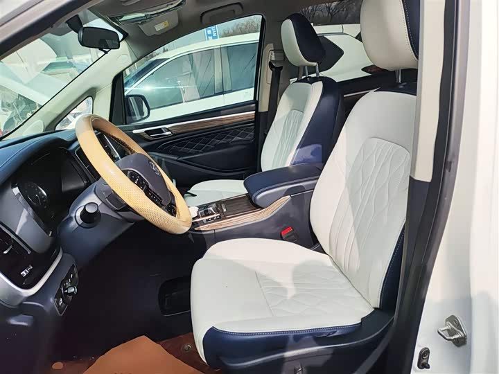 Trumpchi M8 2020 390 T — фото 14