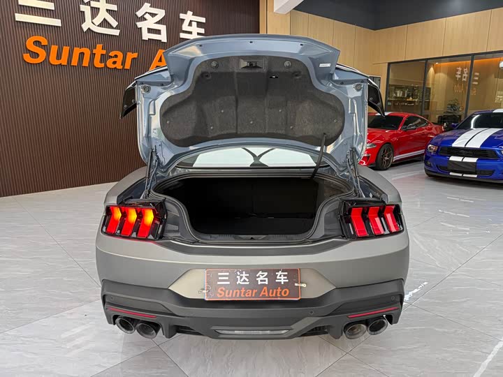 Ford Mustang 2024 5.0 L V 8 Dark Horse — фото 25