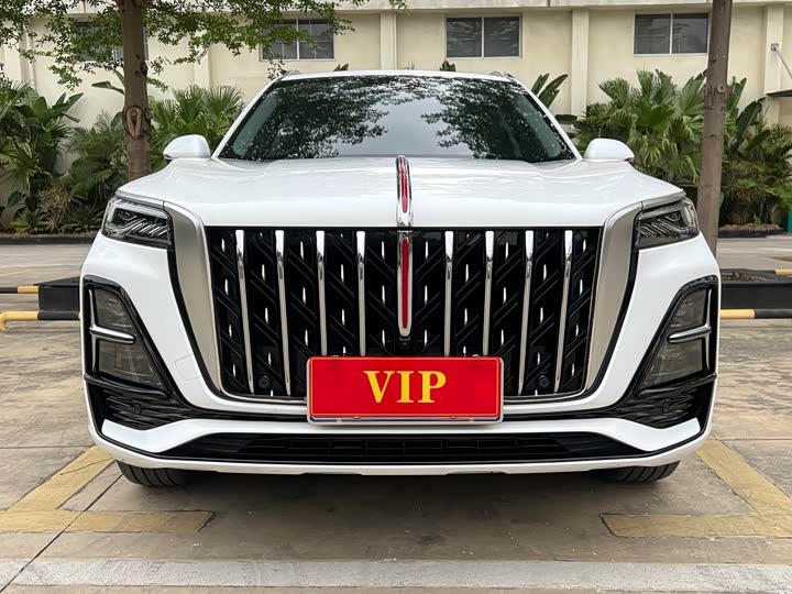 Hongqi HS5 2023 2.0 T Pro — фото 2