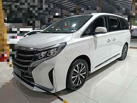Trumpchi M8 2021 390 T — фото 16