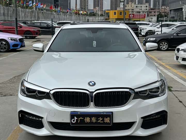 BMW 5-Series 2019 530 Li Leading M — фото 2