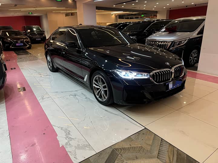 BMW 5 Series 525Li люкс-пакет — фото 3
