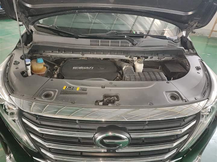 Trumpchi M8 2021 390 T — фото 16