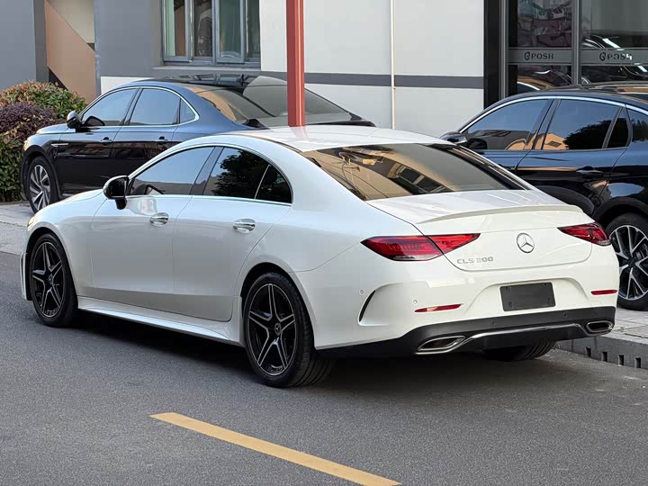 Mercedes-Benz CLS 2023 CLS 300 Luxury — фото 6