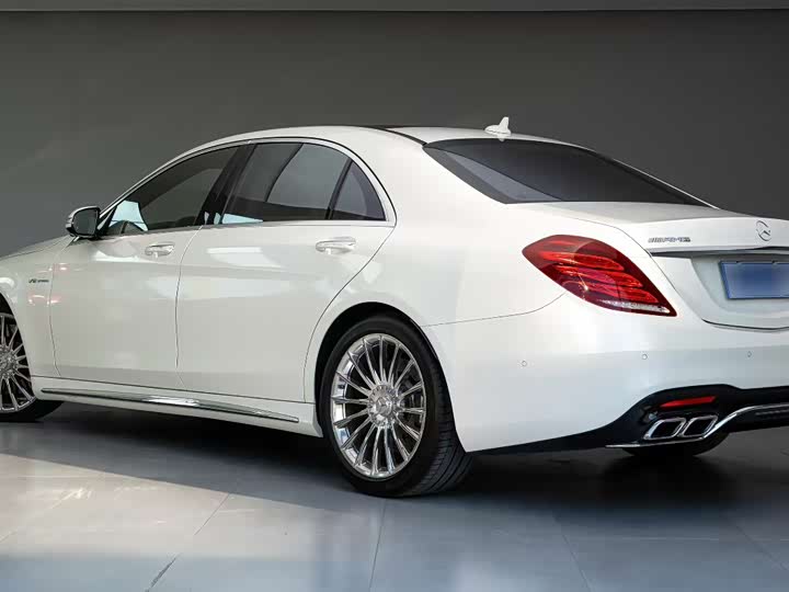 Mercedes-Benz S-Class 2014 AMG S 65 L — фото 9