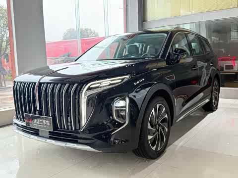 Hongqi HS7 PHEV 2024 2.0 T PHEV 4 WD 7 — фото 18