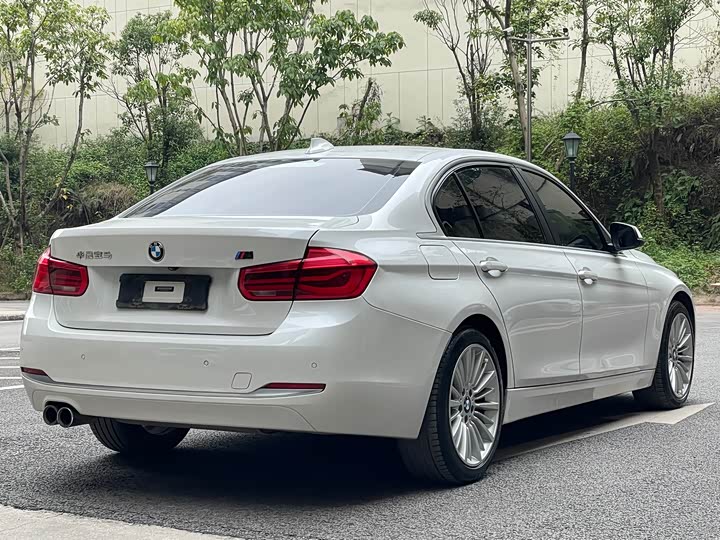 BMW 3-Series 2018 320 Li — фото 7