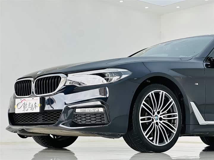 BMW 5-Series 2018 530 Li Leading M — фото 8