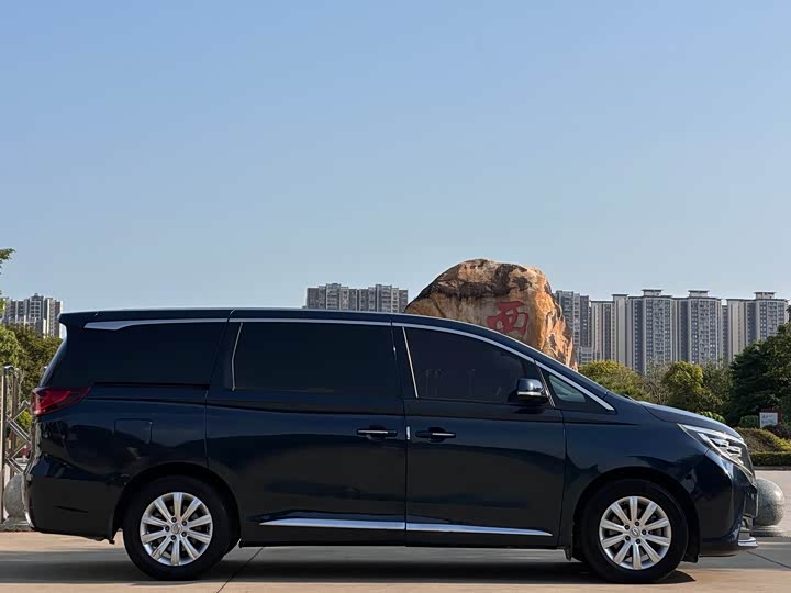 Trumpchi M8 2018 320 T — фото 27