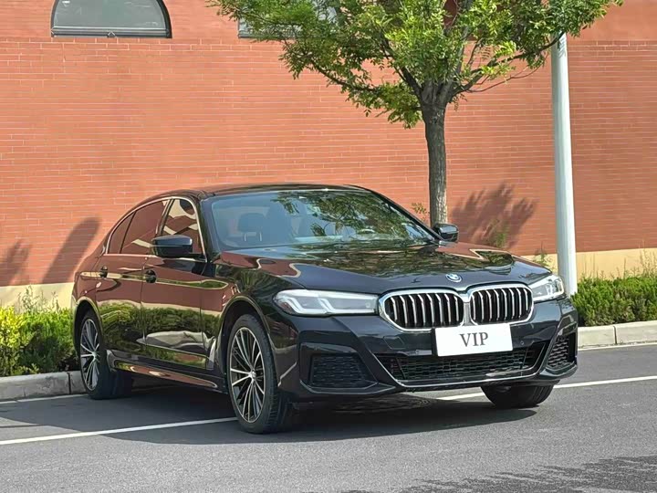 BMW 5-Series 2023 530 Li Leading M — фото 3