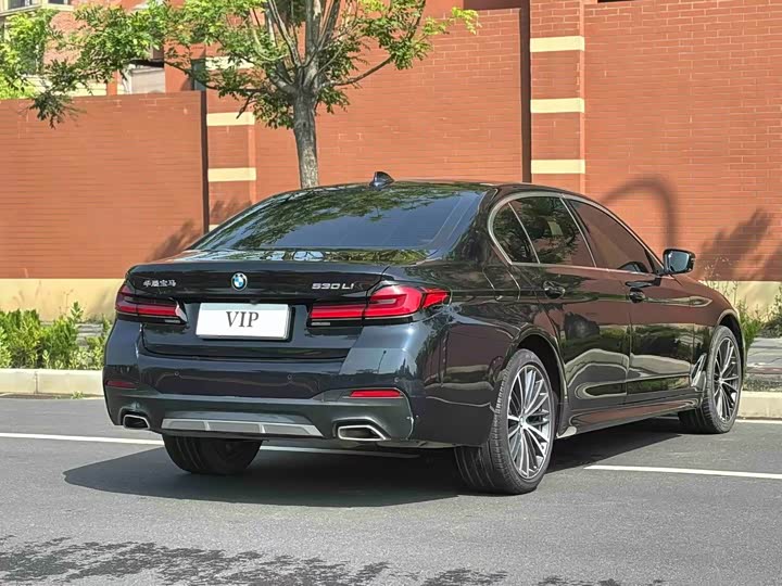 BMW 5-Series 2023 530 Li Leading M — фото 6