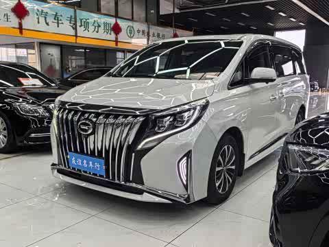 Trumpchi M8 2023 390 T — фото 21