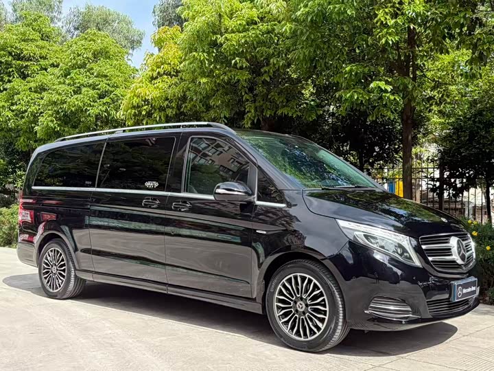 Mercedes-Benz V-Class 2018 V 260 L VI — фото 47