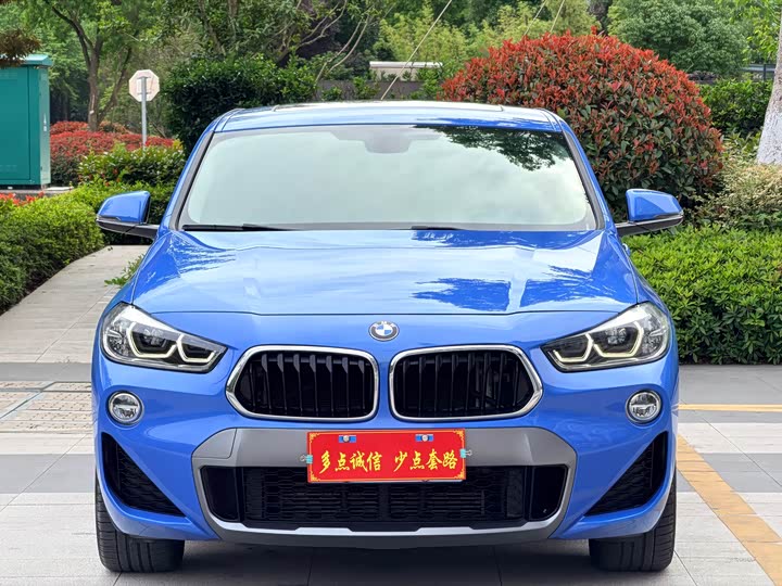 BMW X2 2019 s Drive 25i Luxury M VI — фото 2