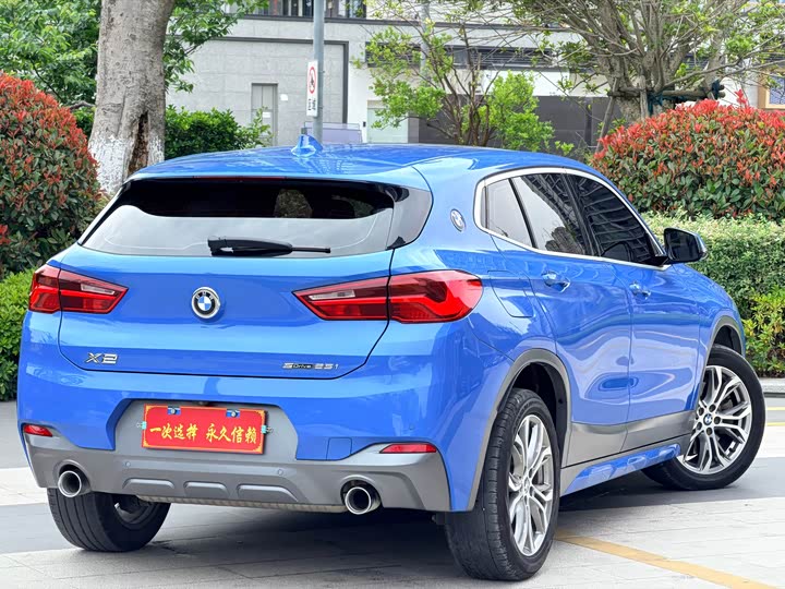 BMW X2 2019 s Drive 25i Luxury M VI — фото 19