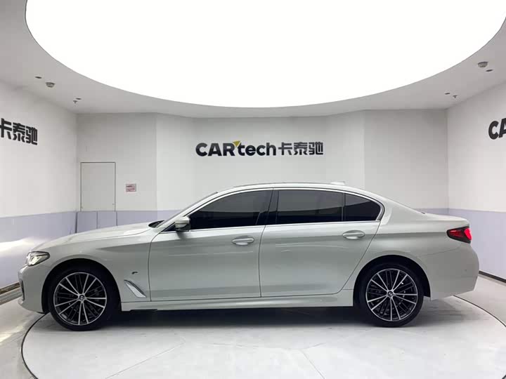 BMW 5-Series 2021 530 Li Leading M — фото 8