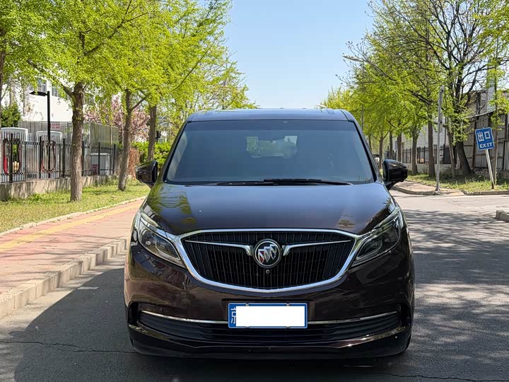 Buick GL8 ES 28T премиум V — фото 2