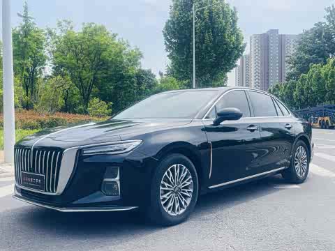 Hongqi H5 2024 1.5 T DCT — фото 30