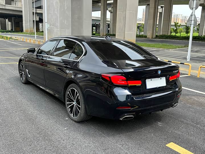 BMW 5-Series 2020 530 Li Leading M — фото 7