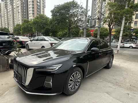 Hongqi H5 2024 1.5 T DCT — фото 20