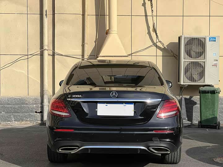 Mercedes-Benz E-Class 2019 E 300 L Luxury — фото 6