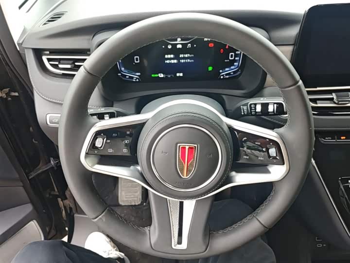 Hongqi HQ9 PHEV 2024 2.0 T 4 WD — фото 11
