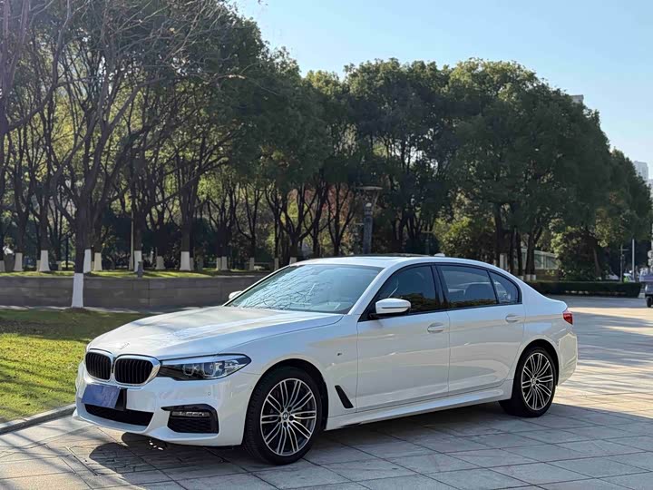 BMW 5-Series 2019 530 Li Leading M — фото 1