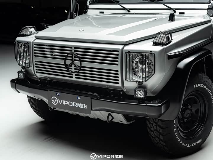 Mercedes-Benz G-Class 2016 G 250 GD — фото 19