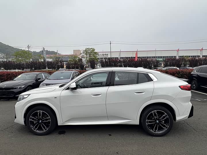 BMW X2 2024 s Drive 25i M — фото 5