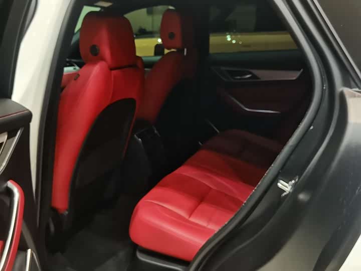 Jaguar F-PACE 2024 P 250 R-Dynamic SE — фото 21