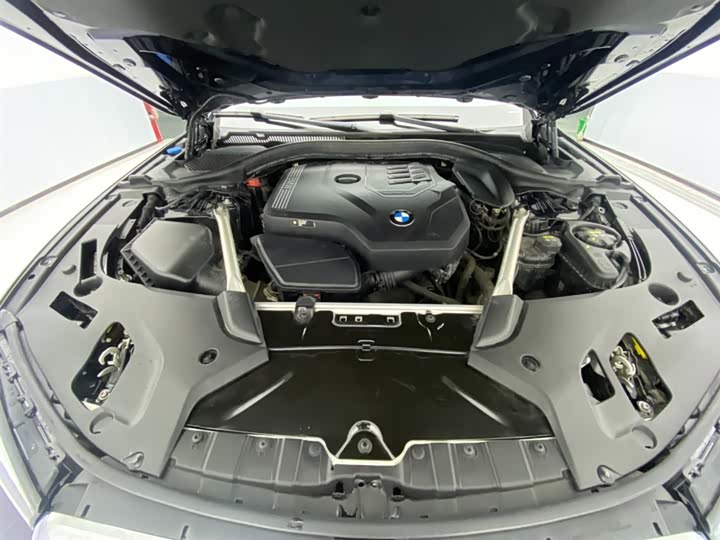 BMW 5-Series 2021 530 Li Leading M — фото 12