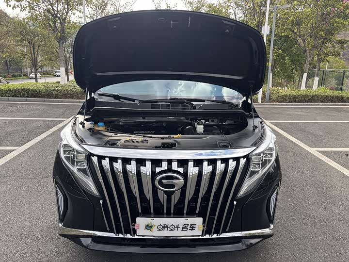 Trumpchi M8 2021 390 T — фото 17