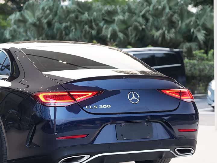 Mercedes-Benz CLS 2021 CLS 300 Luxury — фото 14