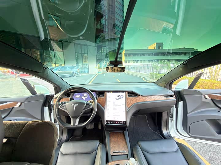 Tesla Model X 2019 — фото 11