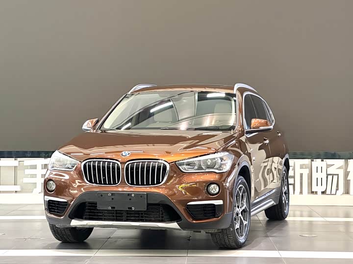 BMW X1 2018 x Drive 25 Li Luxury — фото 1