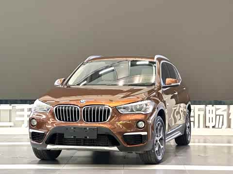 BMW X1 2018 x Drive 25 Li Luxury — фото 16
