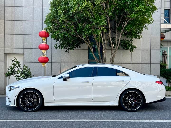 Mercedes-Benz CLS 2021 CLS 300 Luxury — фото 5