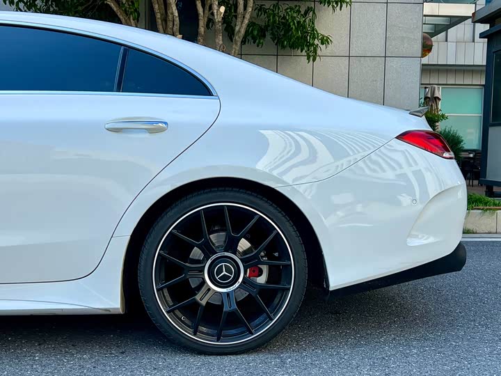 Mercedes-Benz CLS 2021 CLS 300 Luxury — фото 6