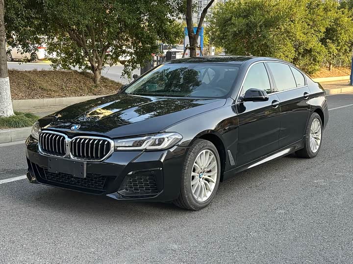 BMW 5-Series 2014 525 Li — фото 1