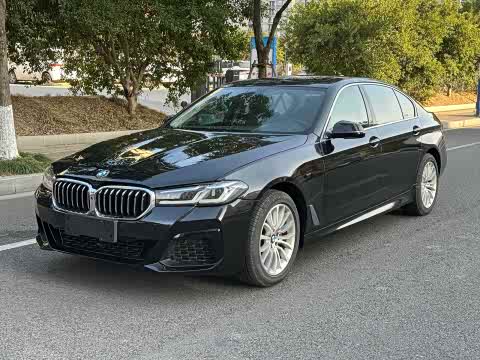 BMW 5-Series 2014 525 Li — фото 17
