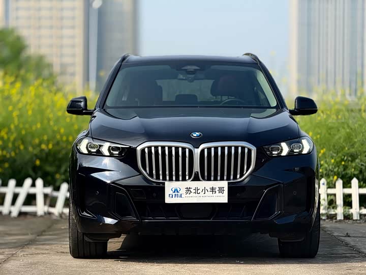 BMW X5 2023 x Drive 30 Li M — фото 2