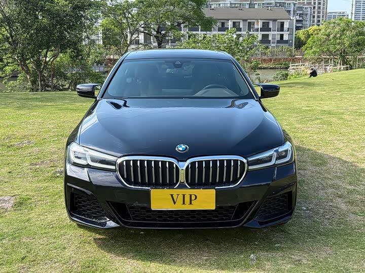 BMW 5-Series 2021 530 Li Leading M — фото 2