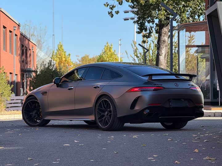 Mercedes-Benz AMG 2019 AMG GT 63 S 4 MATIC+ — фото 19