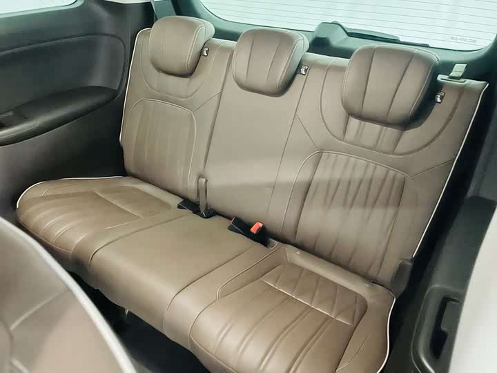 Roewe i MAX 8 2023 400 TGI — фото 11